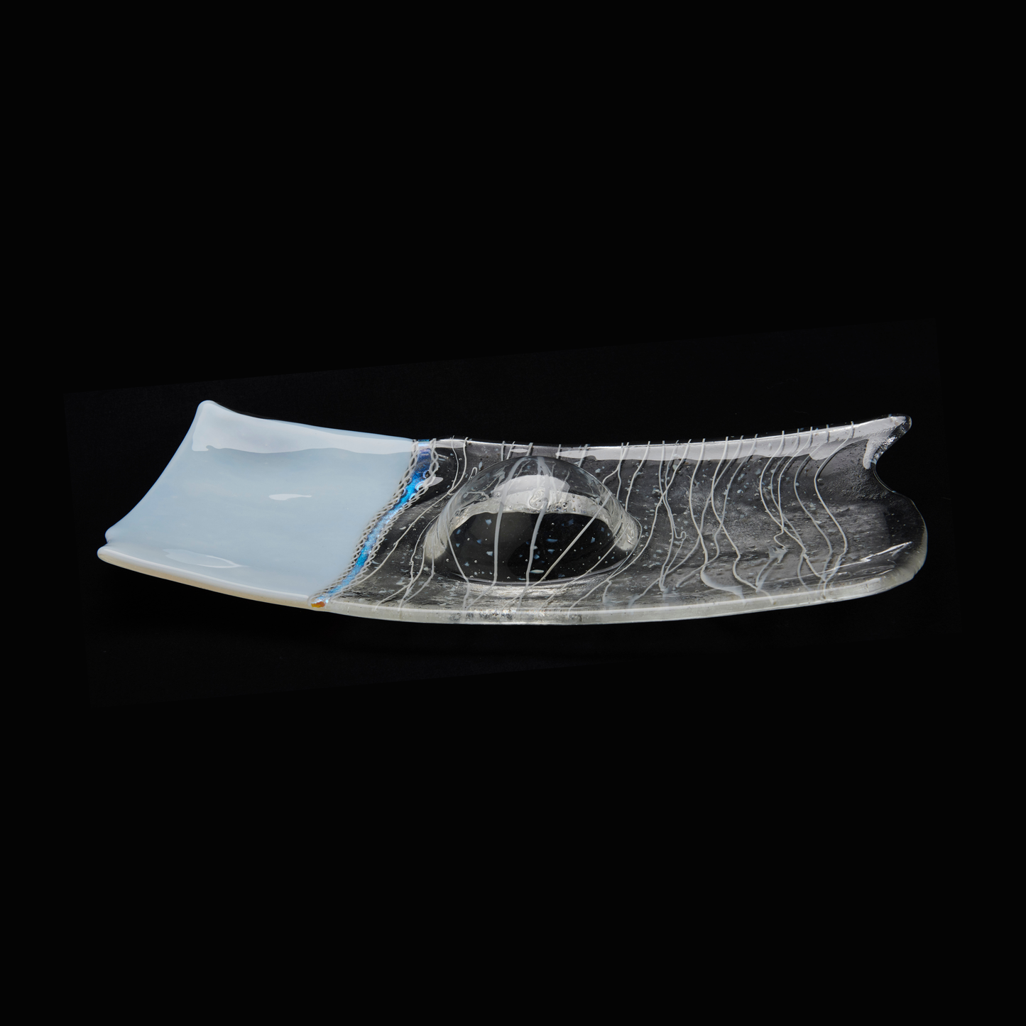 Placa Transparente